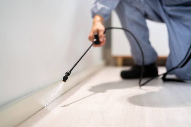 Licensed Pest Control service in Versailles, MO - Show Me Pest Control