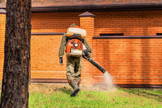 Bed Bug Clearance Verification and Documentation in Versailles